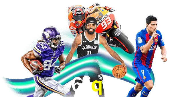 65q