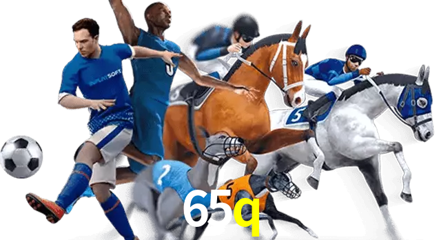 65q
