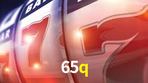 Experiência VIP 65q