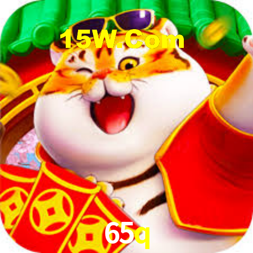 65q App Interface