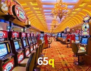 65q,65q.com