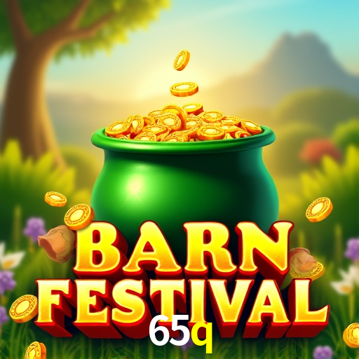 65q.com